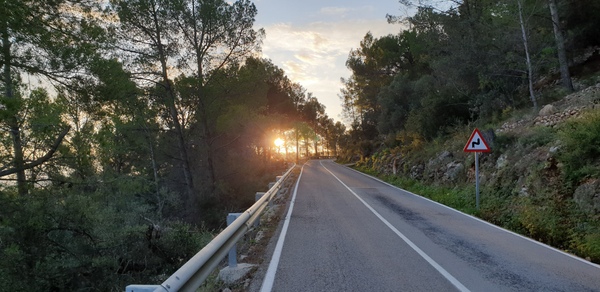 Sunlight shining through the trees on the road to the top of Coll de Rates.